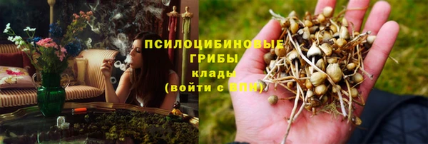кокс Аркадак