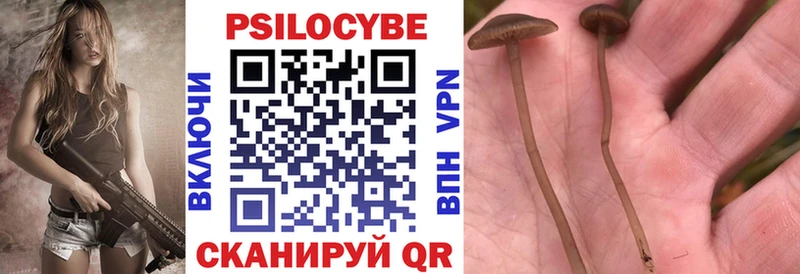 shop состав  Магадан  Галлюциногенные грибы Cubensis  купить наркоту 